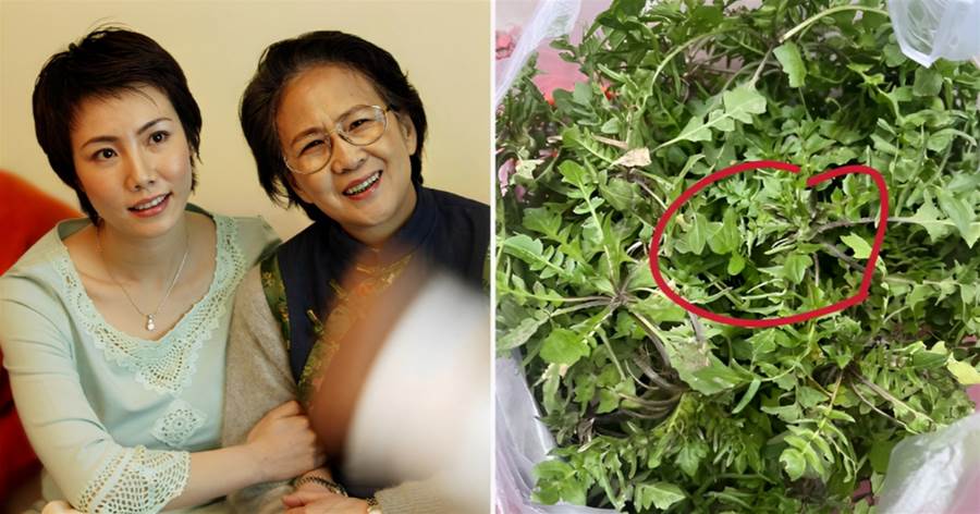 鄰居送的野菜「像草一樣」？我氣丟垃圾桶，老公卻破口大罵：妳不識貨！