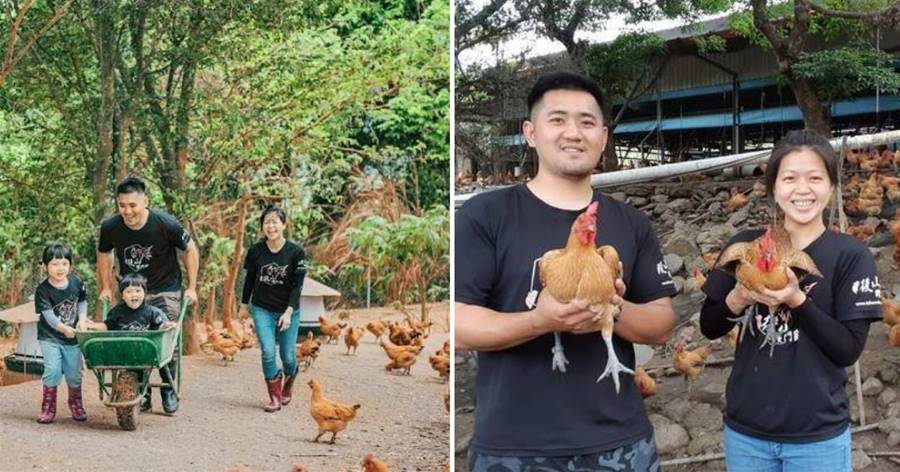 31歲青農夫妻大學畢業，返回台東家鄉山坡養雞，年養超過百萬隻：人生貴在活出樂趣