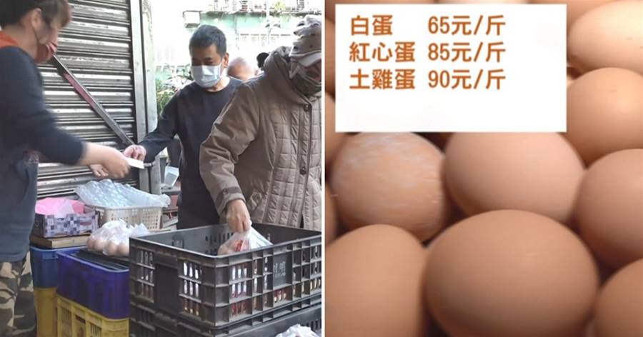 漲幅5.8%！蛋批發價55元/台斤，上漲3元，民眾隊長30公尺「70多歲還要排隊買蛋」農委會：3月解決蛋荒