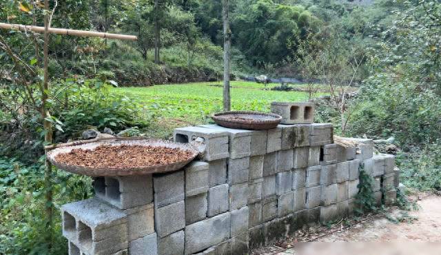 重慶峽谷崖居：500萬不賣！世外桃源豪宅，方圓幾公里無人煙